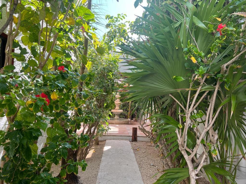 Casa Vista Al Mar Isla Mujeres Villa Exterior photo